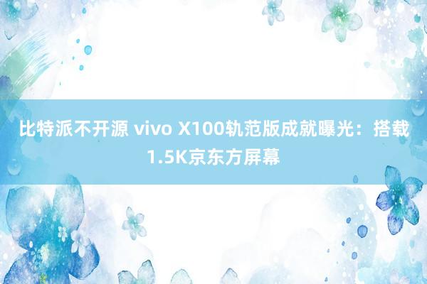比特派不开源 vivo X100轨范版成就曝光：搭载1.5K京东方屏幕