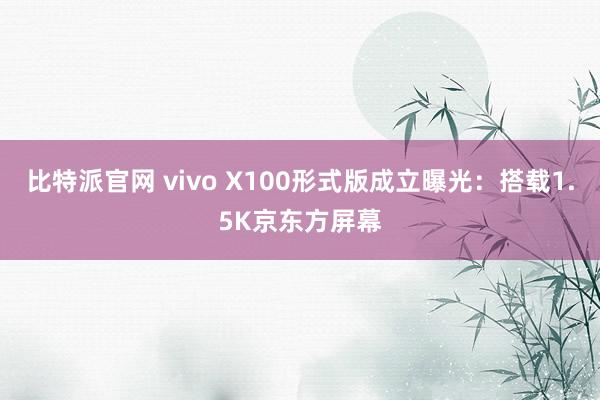 比特派官网 vivo X100形式版成立曝光：搭载1.5K京东方屏幕