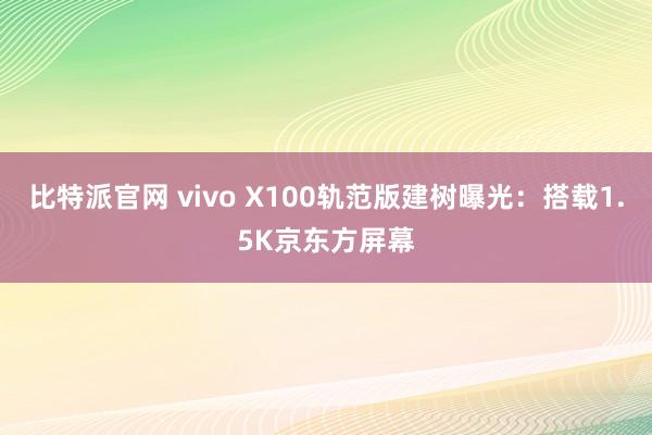 比特派官网 vivo X100轨范版建树曝光：搭载1.5K京东方屏幕