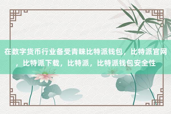 在数字货币行业备受青睐比特派钱包，比特派官网，比特派下载，比特派，比特派钱包安全性