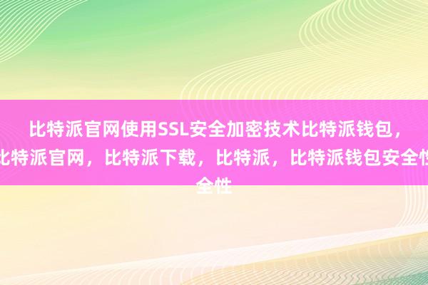 比特派官网使用SSL安全加密技术比特派钱包，比特派官网，比特派下载，比特派，比特派钱包安全性