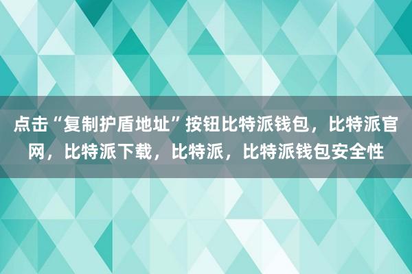 点击“复制护盾地址”按钮比特派钱包，比特派官网，比特派下载，比特派，比特派钱包安全性