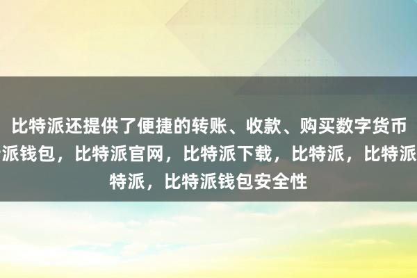 比特派还提供了便捷的转账、收款、购买数字货币等功能比特派钱包，比特派官网，比特派下载，比特派，比特派钱包安全性