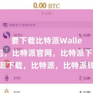 要下载比特派Wallet比特派钱包，比特派官网，比特派下载，比特派，比特派钱包安全性