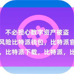 不必担心数字资产被盗或丢失的风险比特派钱包，比特派官网，比特派下载，比特派，比特派钱包安全性