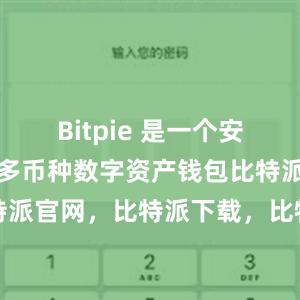 Bitpie 是一个安全、易用的多币种数字资产钱包比特派钱包，比特派官网，比特派下载，比特派，比特派钱包安全性