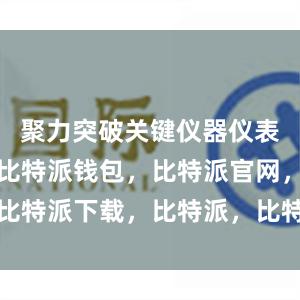 聚力突破关键仪器仪表技术瓶颈比特派钱包，比特派官网，比特派下载，比特派，比特派钱包安全性