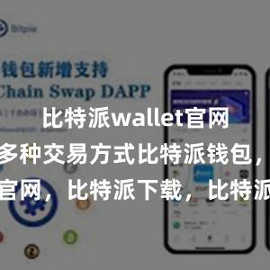 比特派wallet官网版还提供了多种交易方式比特派钱包，比特派官网，比特派下载，比特派，比特派钱包安全性