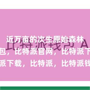 近万亩的次生原始森林比特派钱包，比特派官网，比特派下载，比特派，比特派钱包安全性